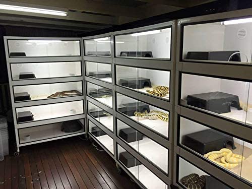 Leoterra Esconderijo Reptil, uso múltiple para serpientes y otros reptiles pequeños.