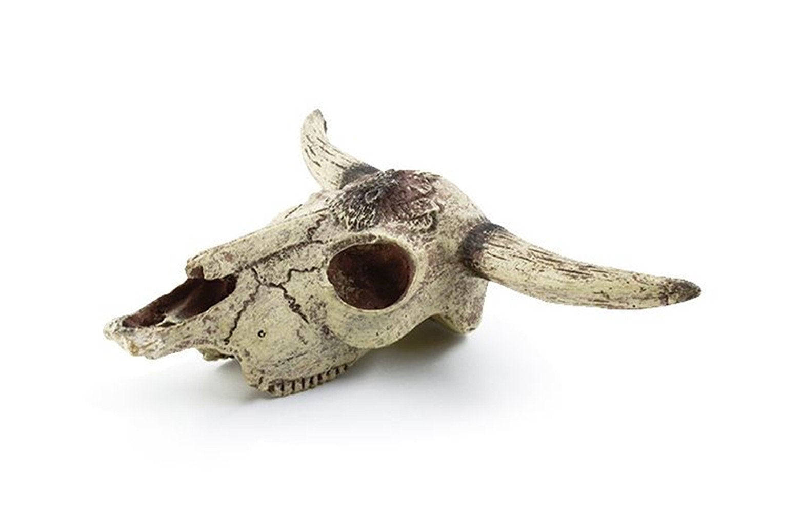 Leoyoubei textura de cráneo para acuario, aspecto realista.