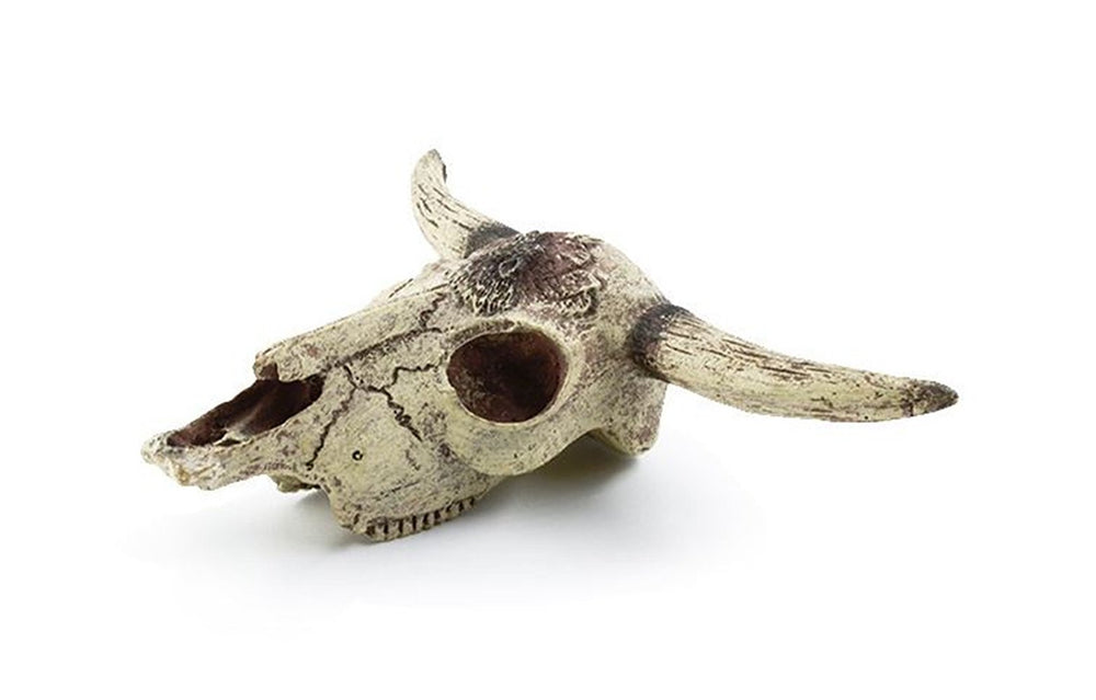 Leoyoubei textura de cráneo para acuario, aspecto realista.