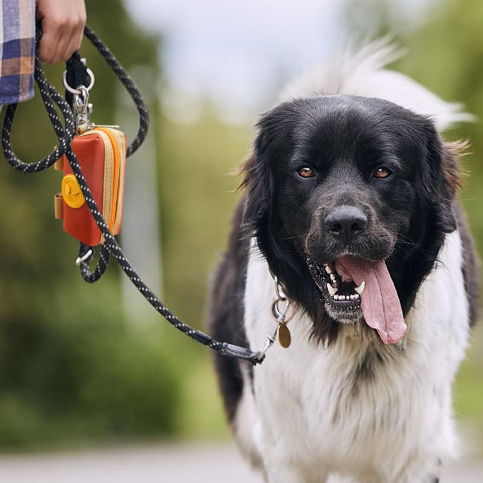Lepawit porta desechos canino con diseño a juego, ideal para paseos diarios.