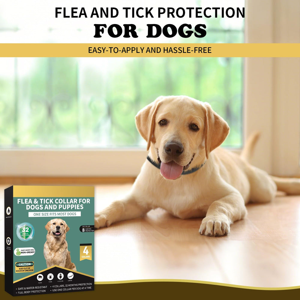 Lerqua collar para perros, uso diario con protección estable.