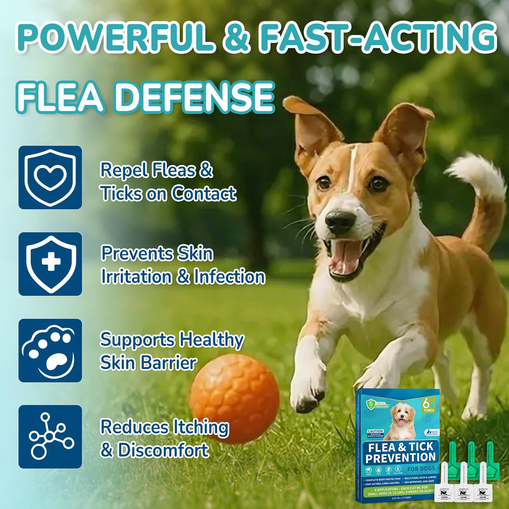 Lerqua: fórmula recomendada por veterinarios para uso doméstico en perros.