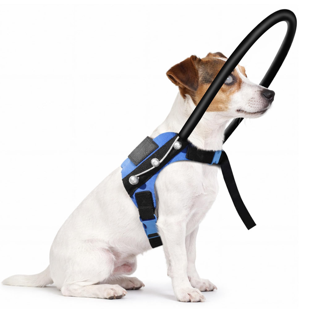 LetPetRun Halo para perros ciegos: foco frontal del collar protector para navegación diaria segura.