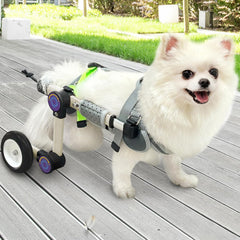 LetPetRun Silla de ruedas para perro, ajuste de altura, mejora movilidad cotidiana