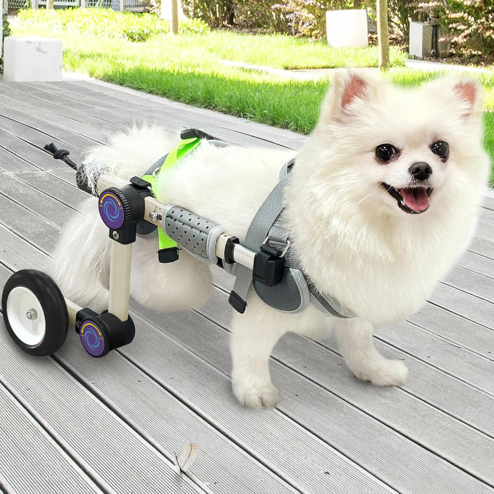 LetPetRun: silla-ruedas-perro-ajuste-tamano para adaptarse al tamaño de tu mascota.