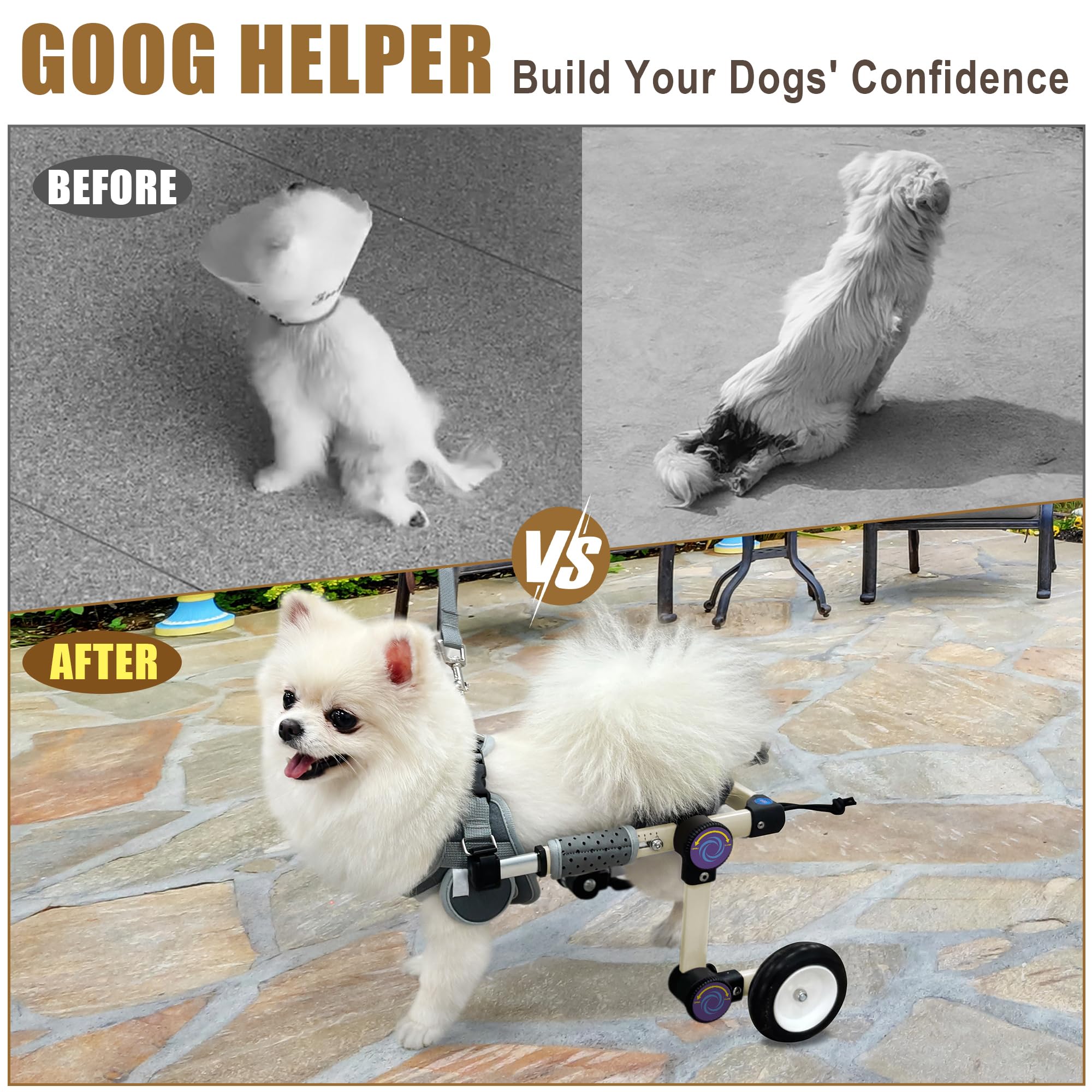 LetPetRun silla de ruedas para perro, diseño ligero, facilita paseos y juegos.