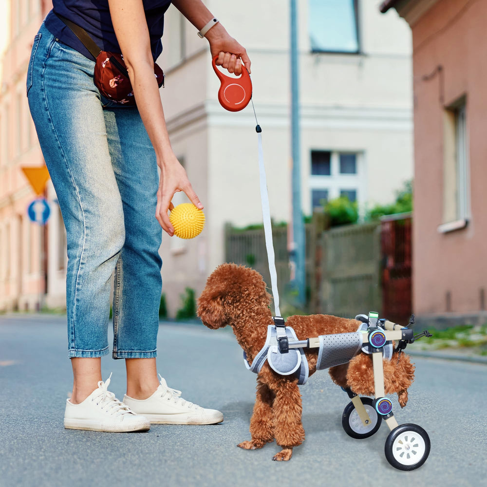 LetPetRun: silla-ruedas-perro-material-ligero-durable para uso diario.