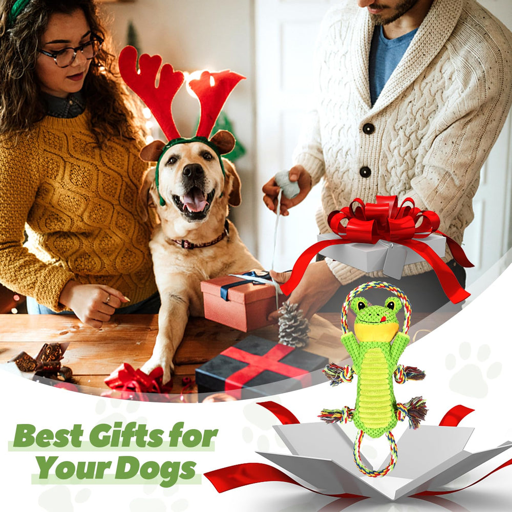 Letsmeet apto para perros medianos y grandes, ideal para familias.