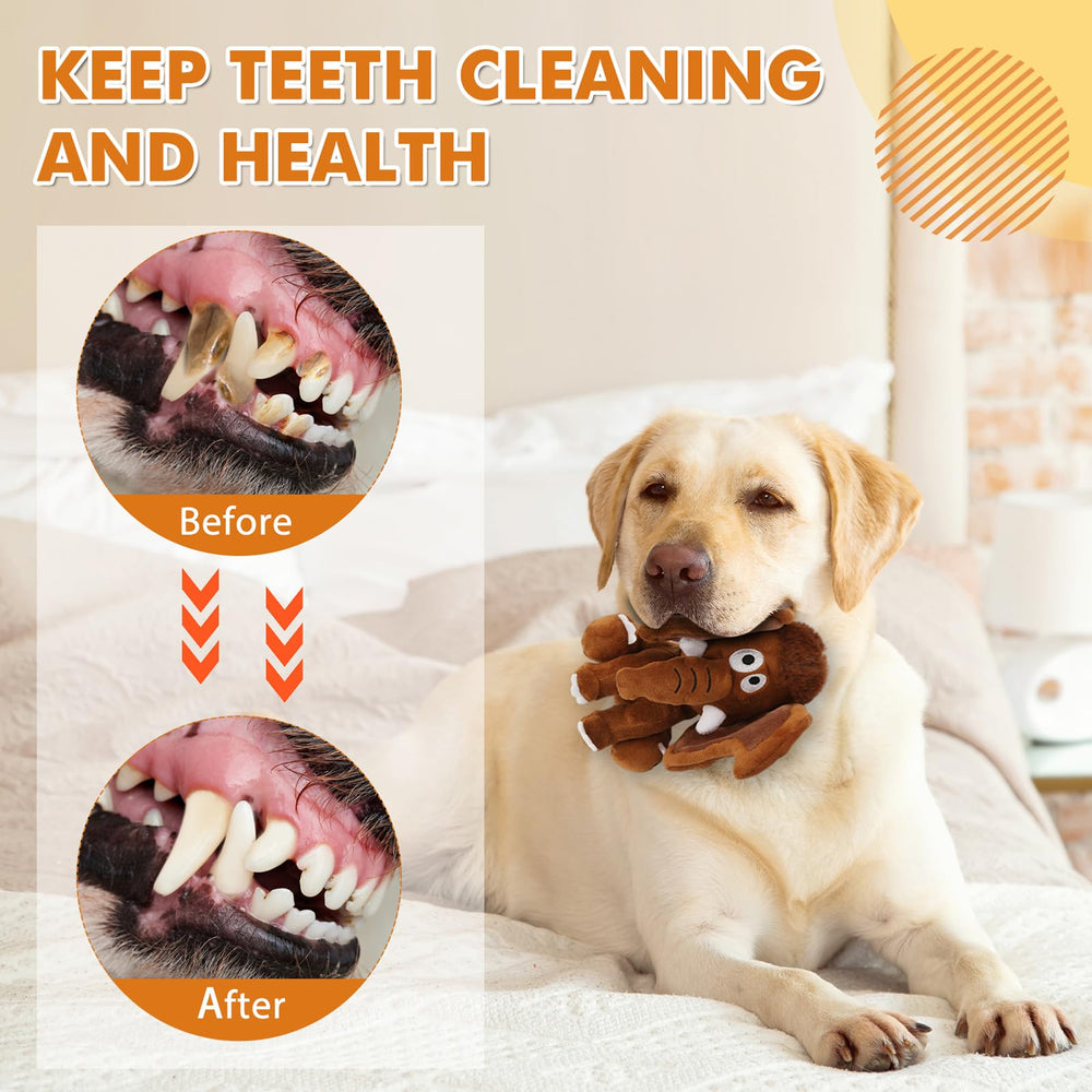 Letsmeet Juguete peluche-dientes-limpieza para perros, ayuda a la higiene bucal.