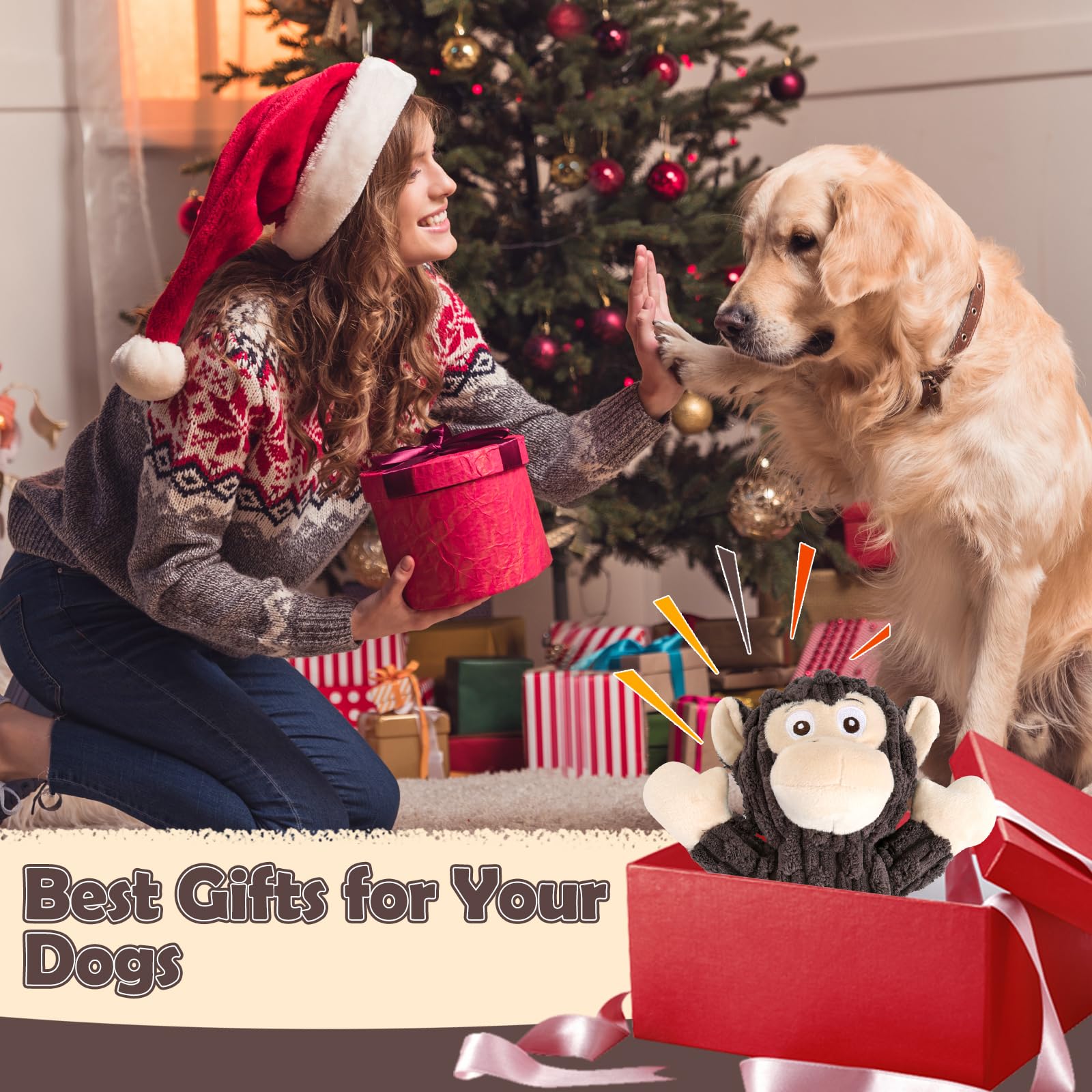 Letsmeet regalo perfecto para amantes de perros y sus mascotas