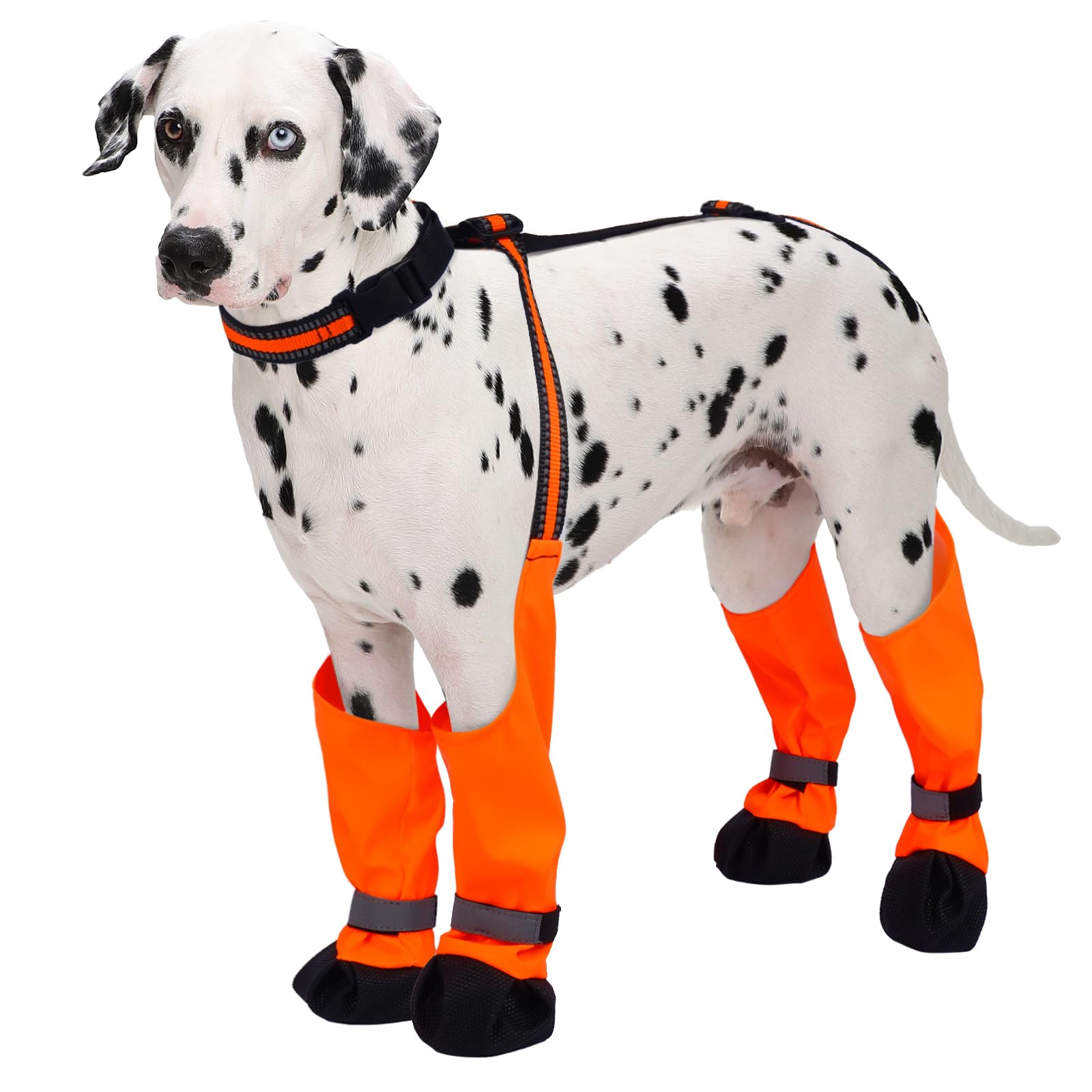 Botas LETSQK para perro con diseño impermeable: patas secas durante paseos en lluvia.