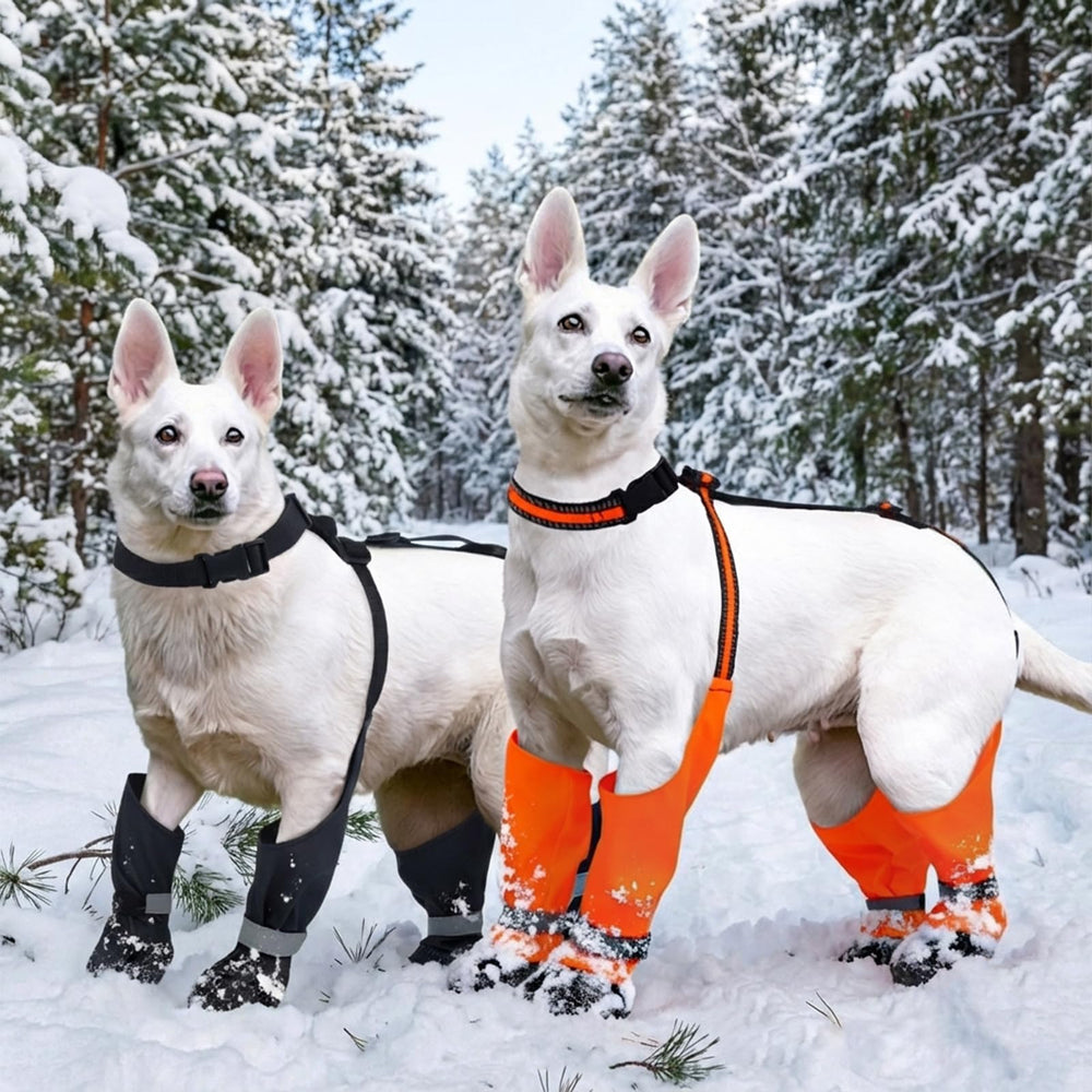 Paseos al aire libre LETSQK ayudan a mantener las patas limpias.