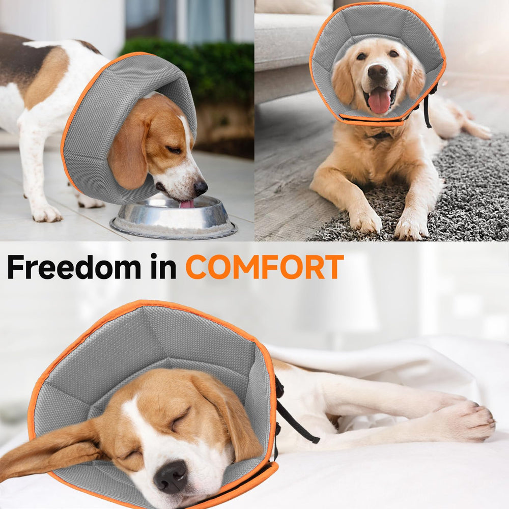 LETSQK cono suave naranja, cono de alta visibilidad para perros activos.