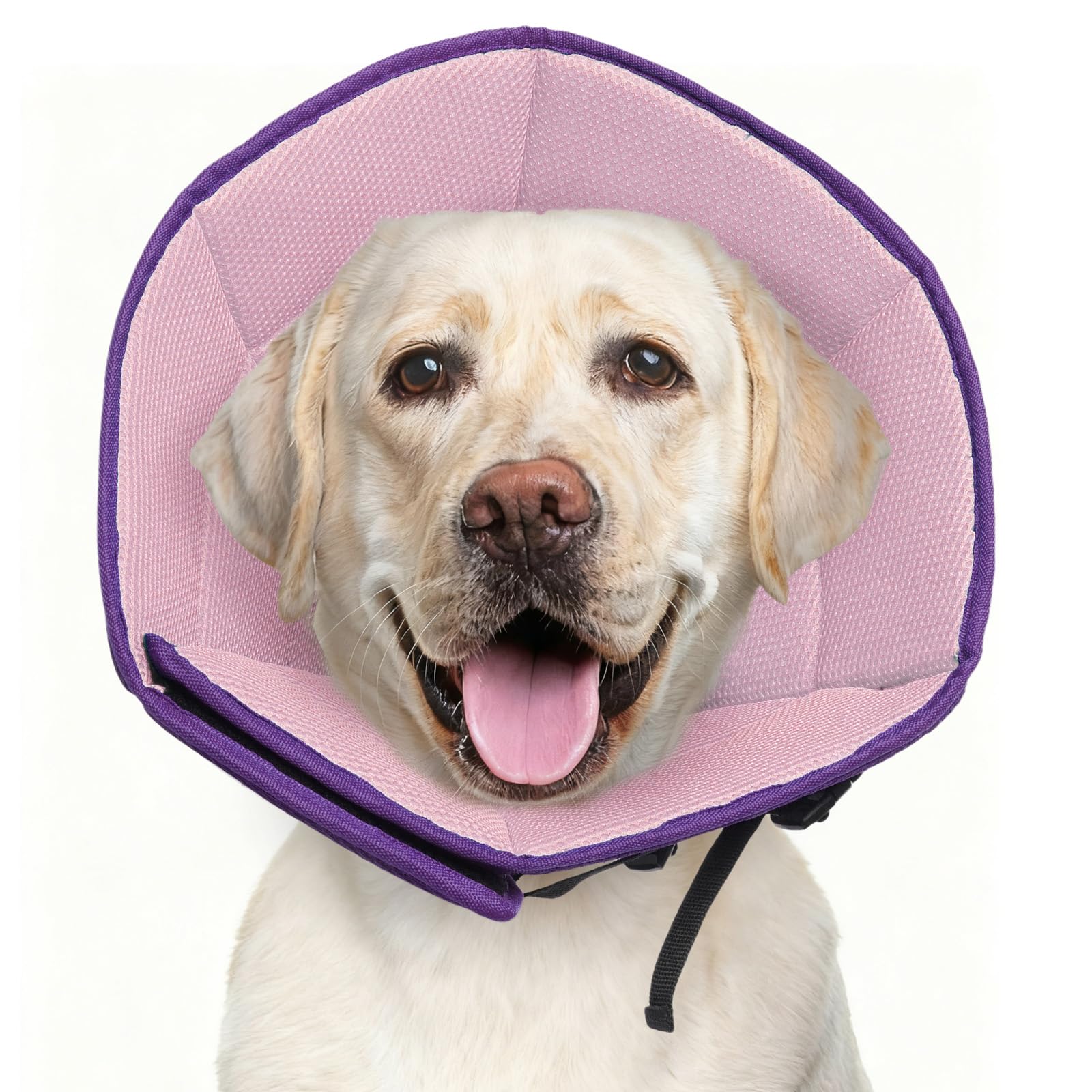 LETSQK cono-perro-xl-morado-suave evita lamer heridas posquirúrgicas