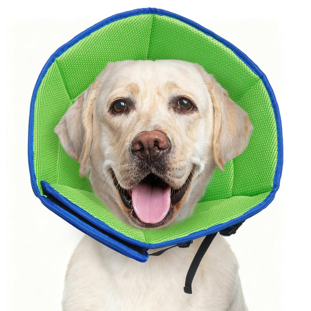 LETSQK collar cono suave XL para perro grande, facilita la selección de talla.