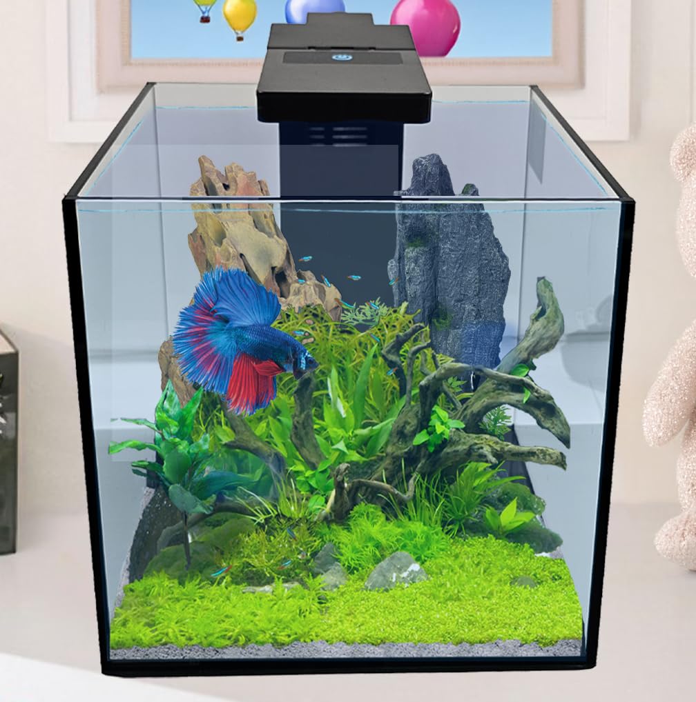 Level One Pets acuario de vidrio claro, bordes biselados para un aspecto limpio.