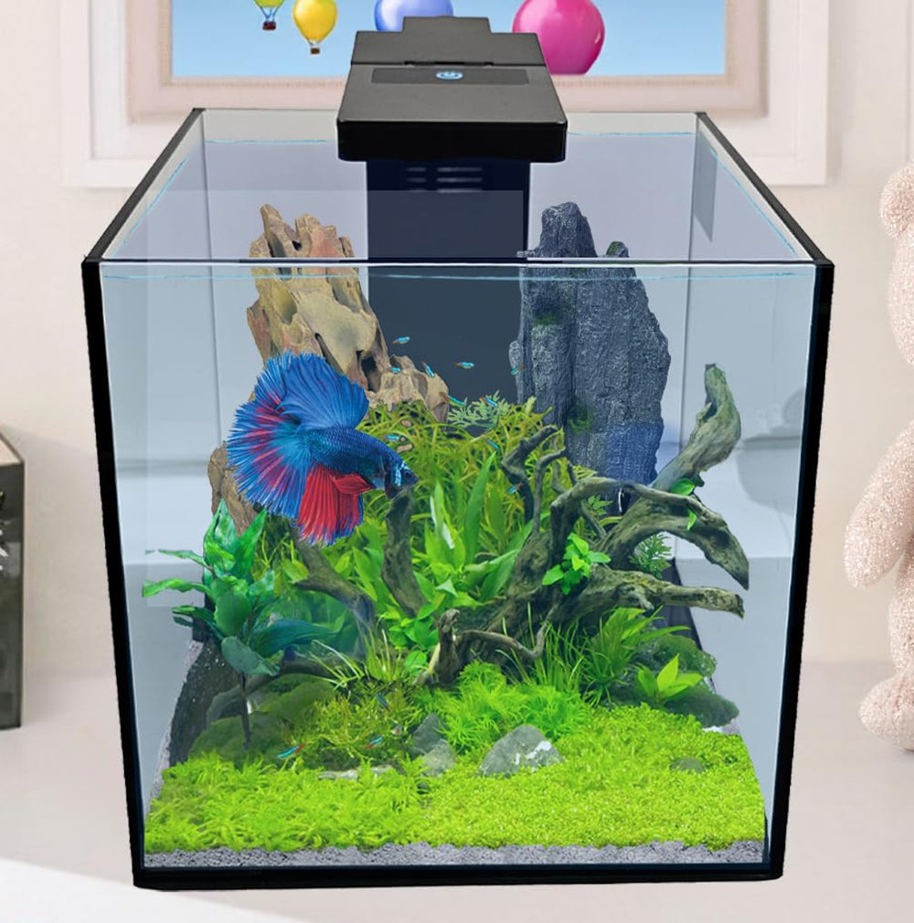 Level One Pets acuario de vidrio claro, bordes biselados para un aspecto limpio.