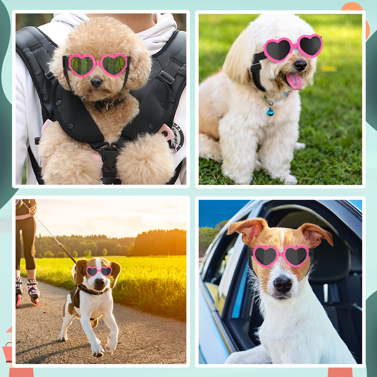 Lewondr gafas para uso diario y fotografía canina.