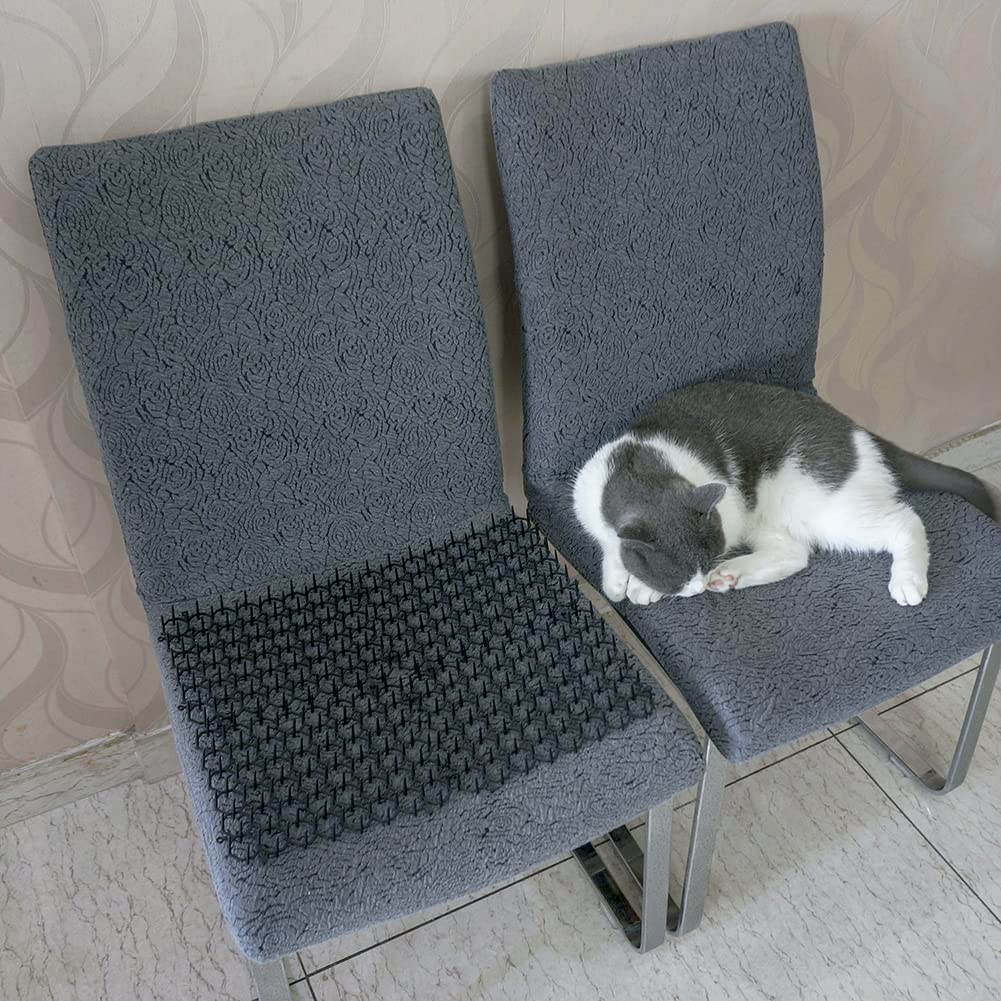 Ley's juego de 12 piezas ofrece cobertura ampliable para patios y jardines