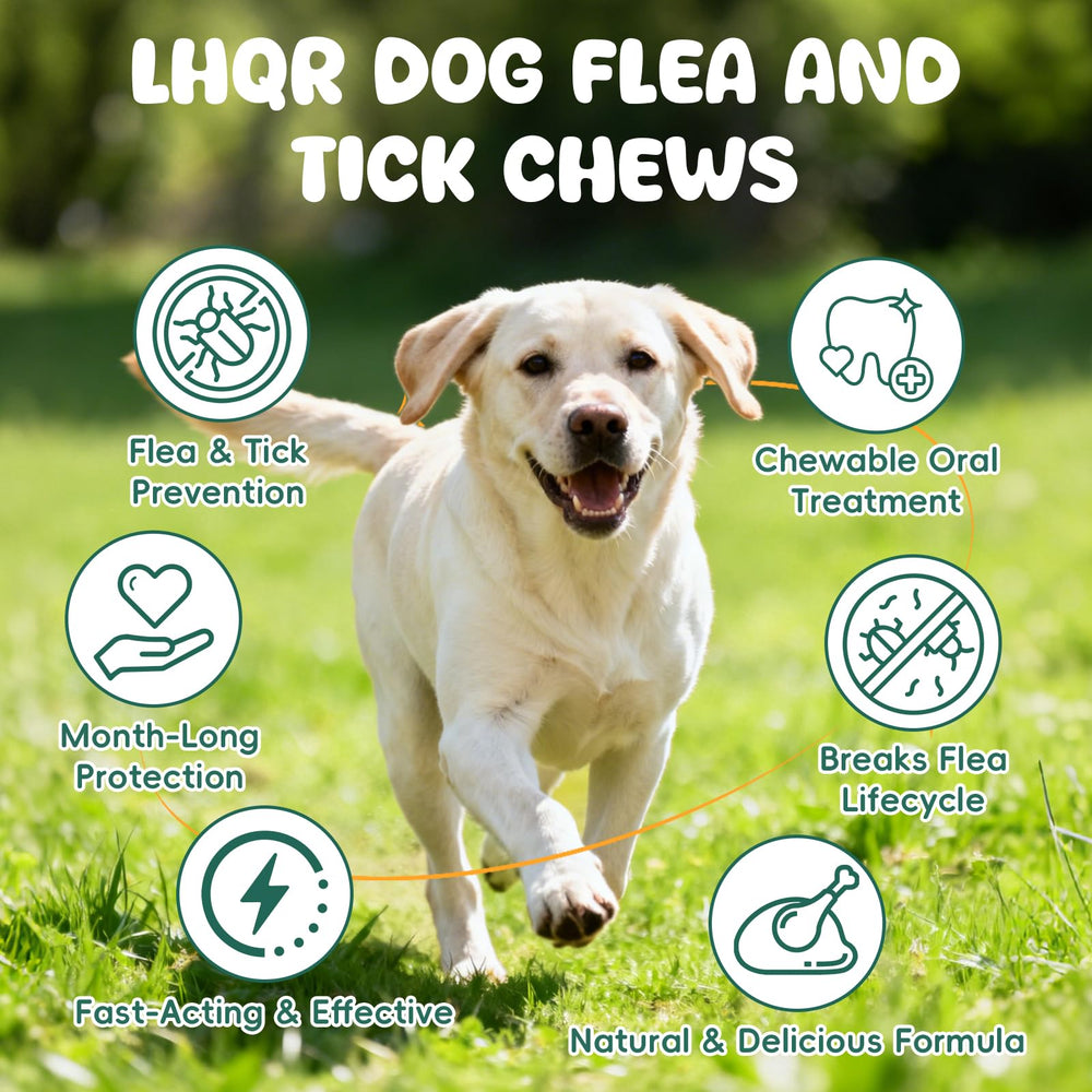 LHQR dosis según peso: dosificación sencilla para cachorros y perros grandes.