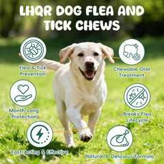 LHQR dosis según peso: dosificación sencilla para cachorros y perros grandes.