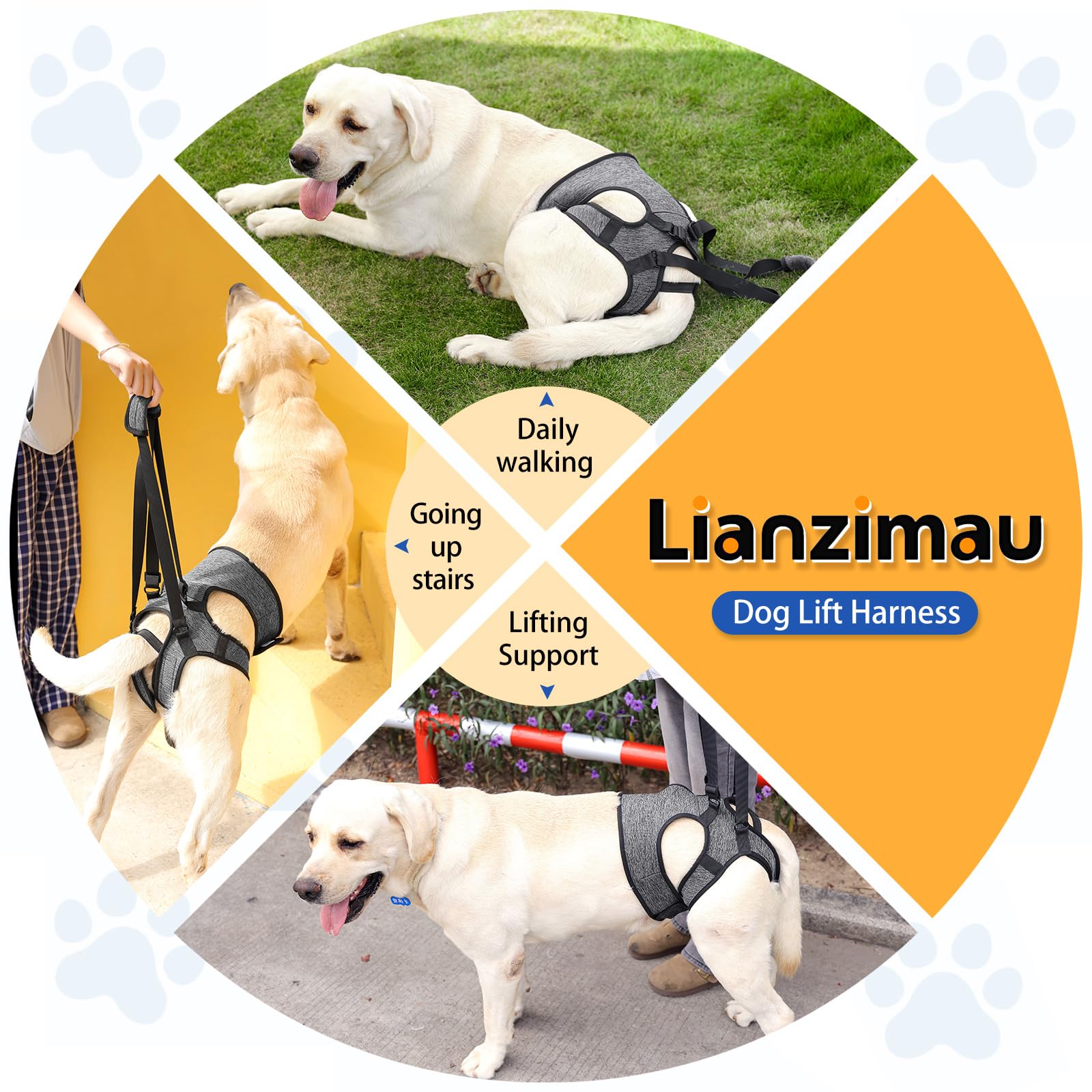 LIANZIMAU diseño ergonómico para mayor confort durante paseos.