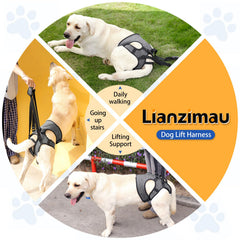 LIANZIMAU diseño ergonómico para mayor confort durante paseos.