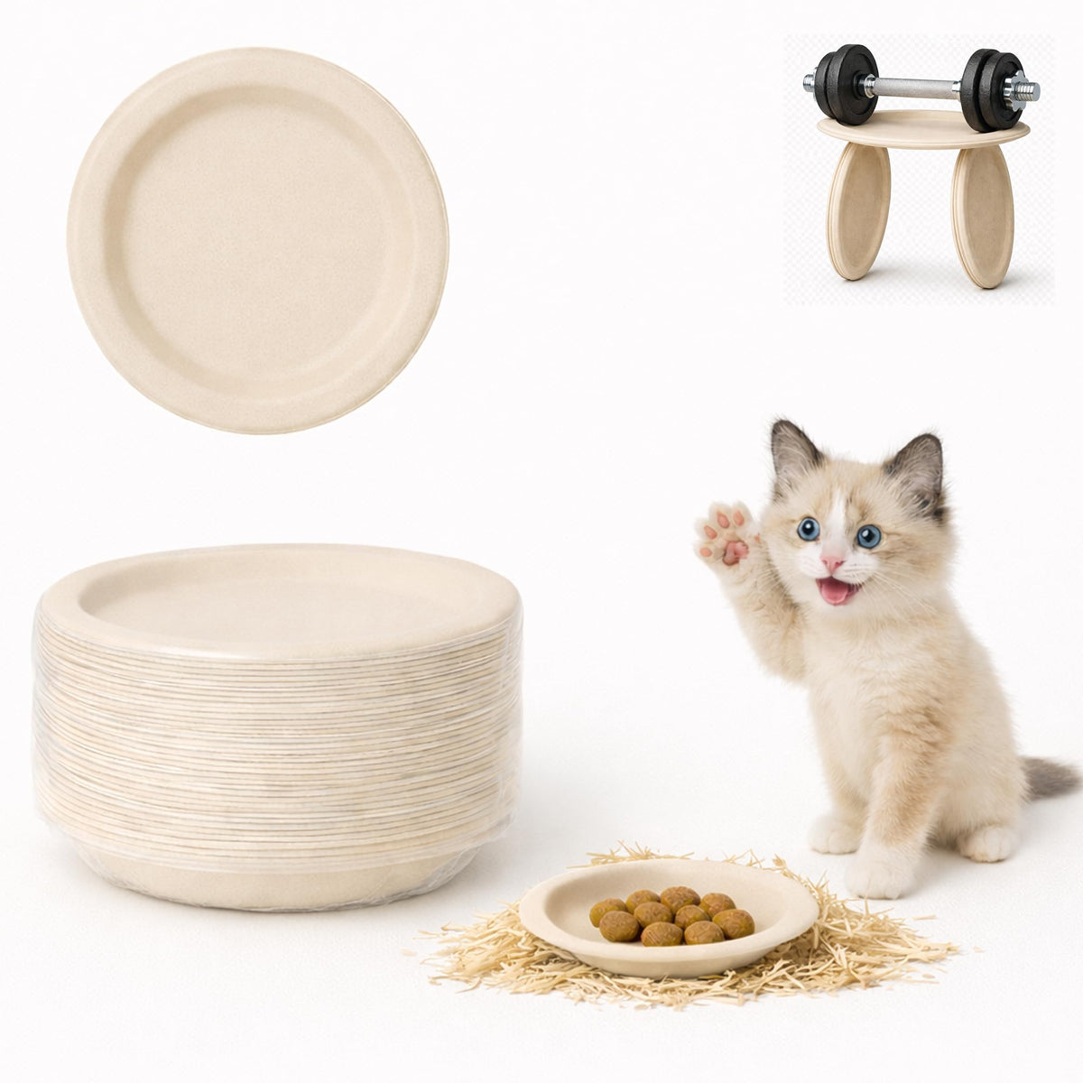 LIBSTP cuencos desechables para gatos de 6 pulgadas, ideales para comidas al aire libre.