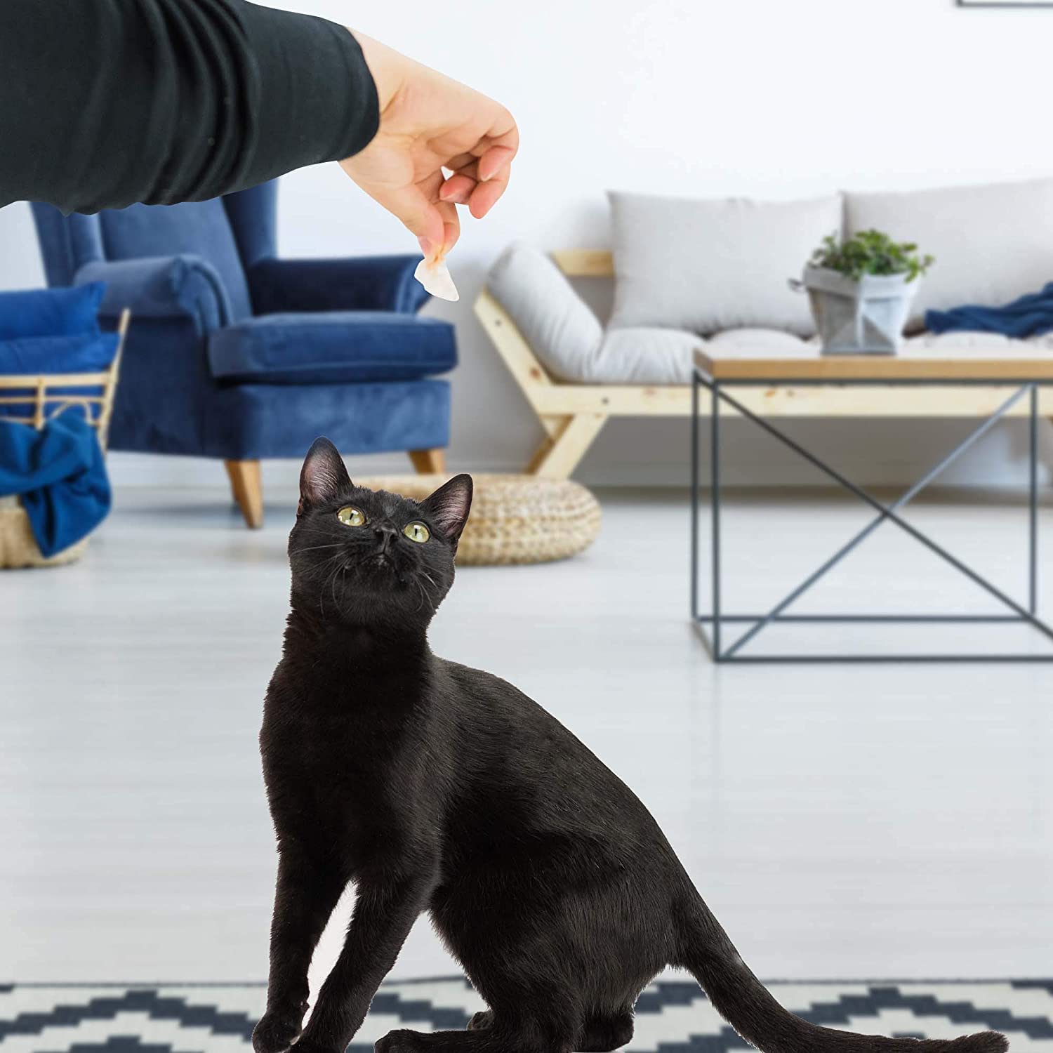 LIFE ESSENTIALS CAT-MAN-DOO: aroma umami suave para enriquecer la experiencia de la comida.