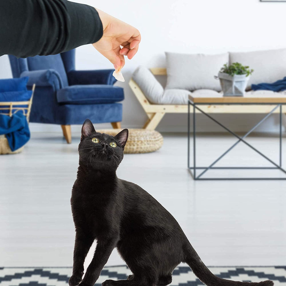LIFE ESSENTIALS CAT-MAN-DOO: aroma umami suave para enriquecer la experiencia de la comida.