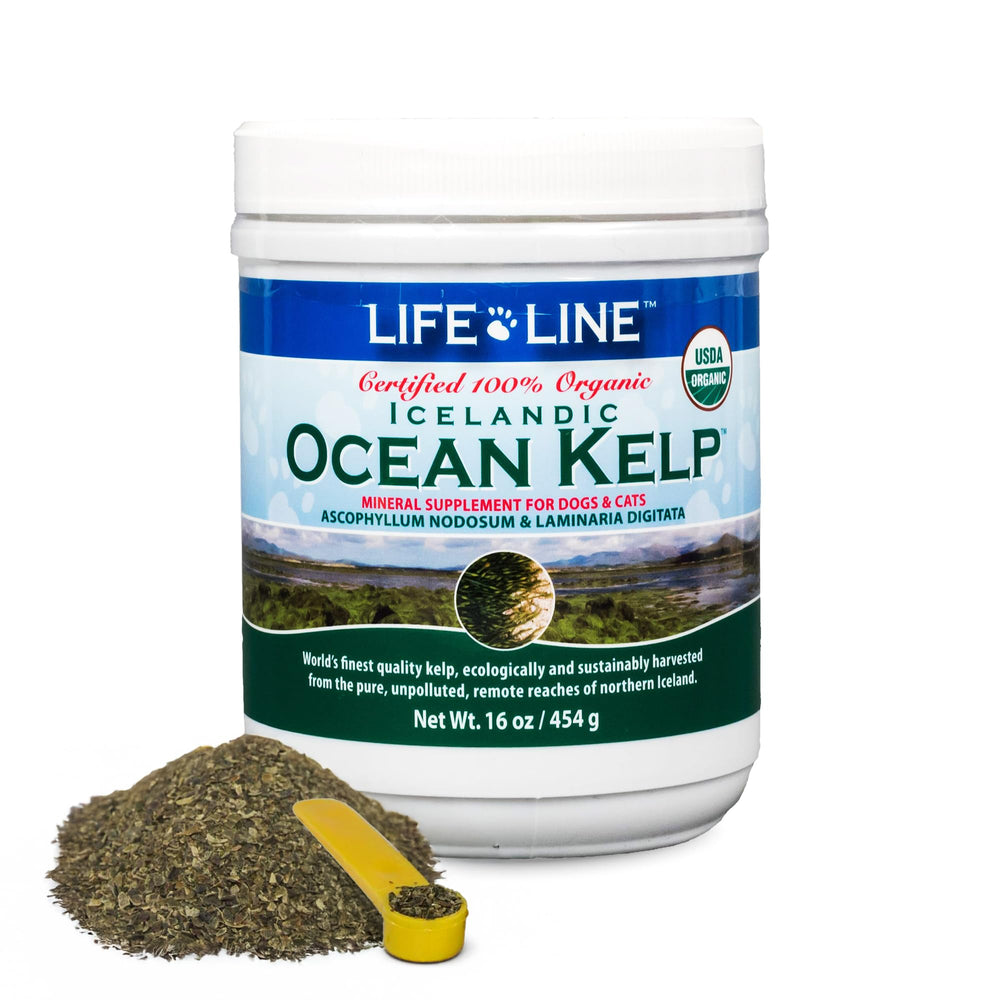 Life Line Pet Nutrition: botella de alga marina oceano para pelaje suave y saludable