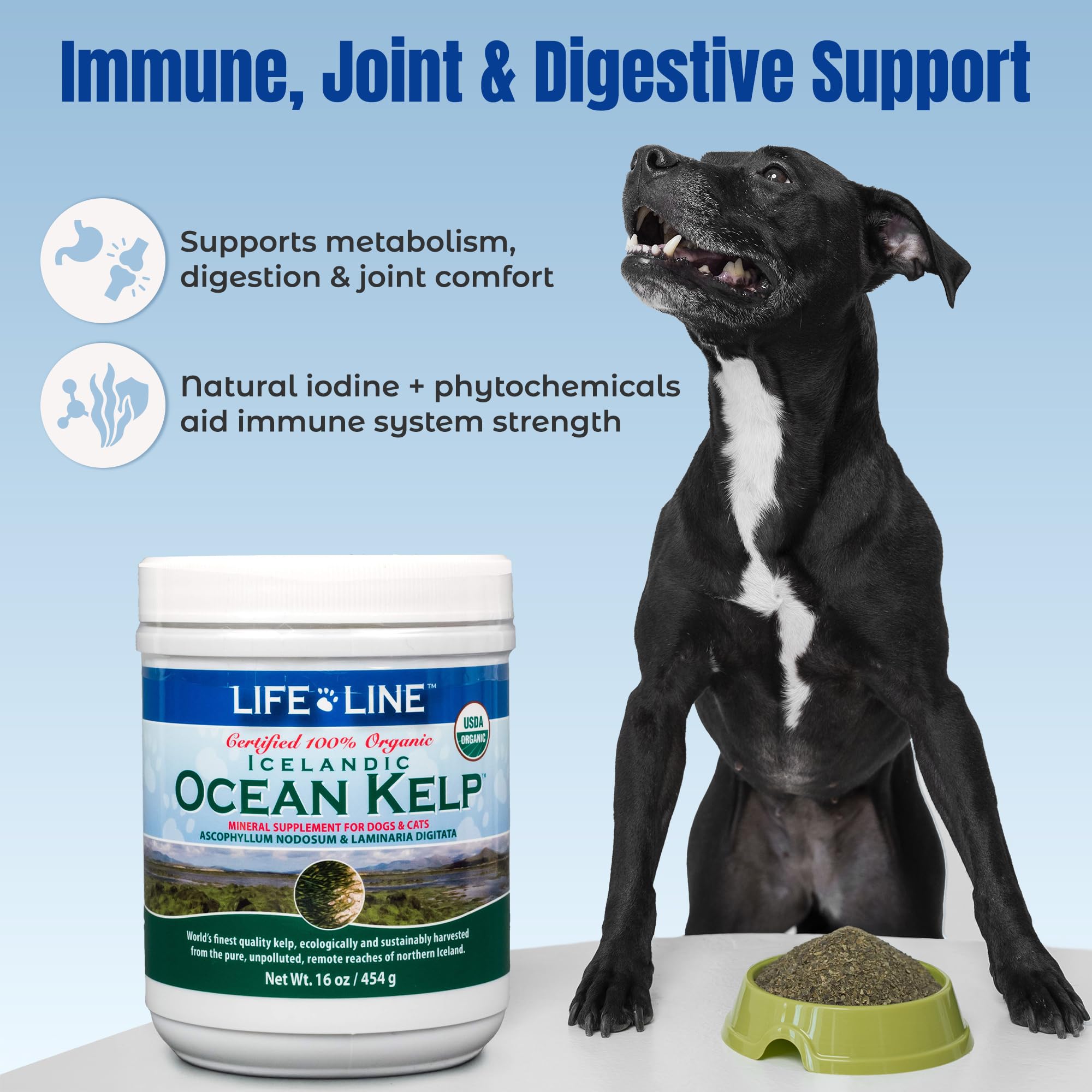 Life Line Pet Nutrition: alga marina oceano lista para añadir a la dieta diaria