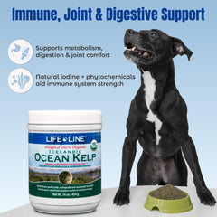 Life Line Pet Nutrition: alga marina oceano lista para añadir a la dieta diaria