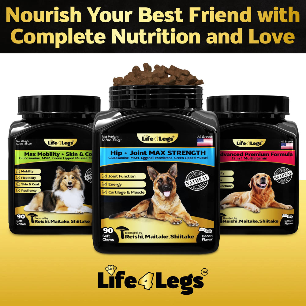 Life4Legs beneficios movilidad diaria: favorece una rutina activa para perros.