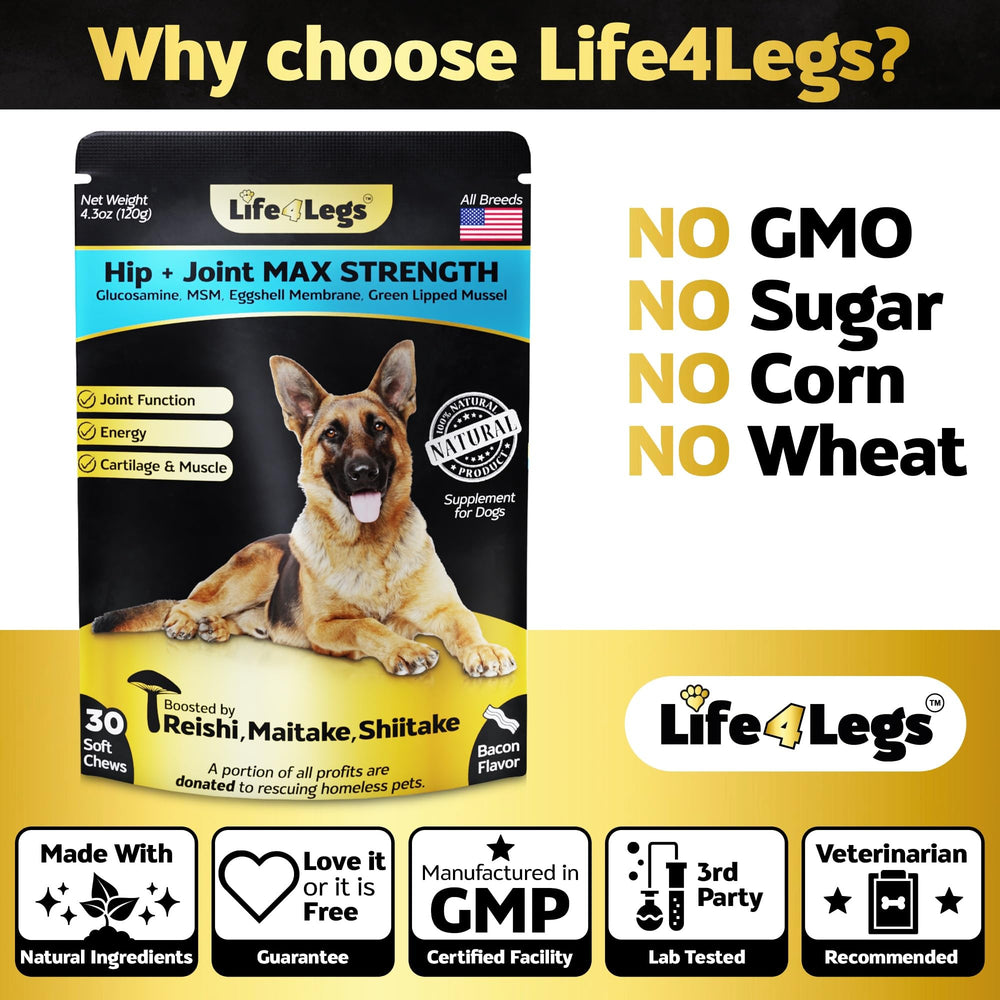 Life4Legs ingredientes glucosamina condroitina: apoyo a articulaciones con componentes conocidos.