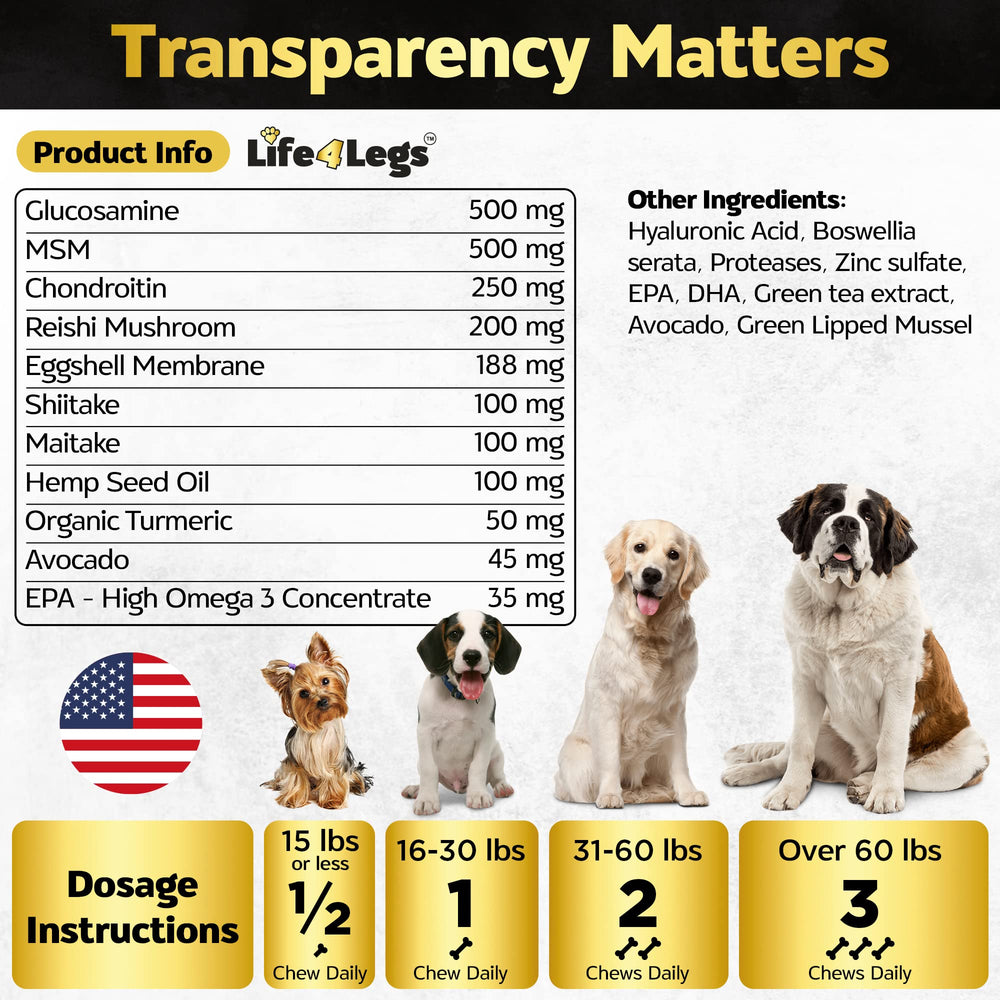 Life4Legs ingredientes omega3 hialuronico cúrcuma: combinación natural para movilidad y confort.