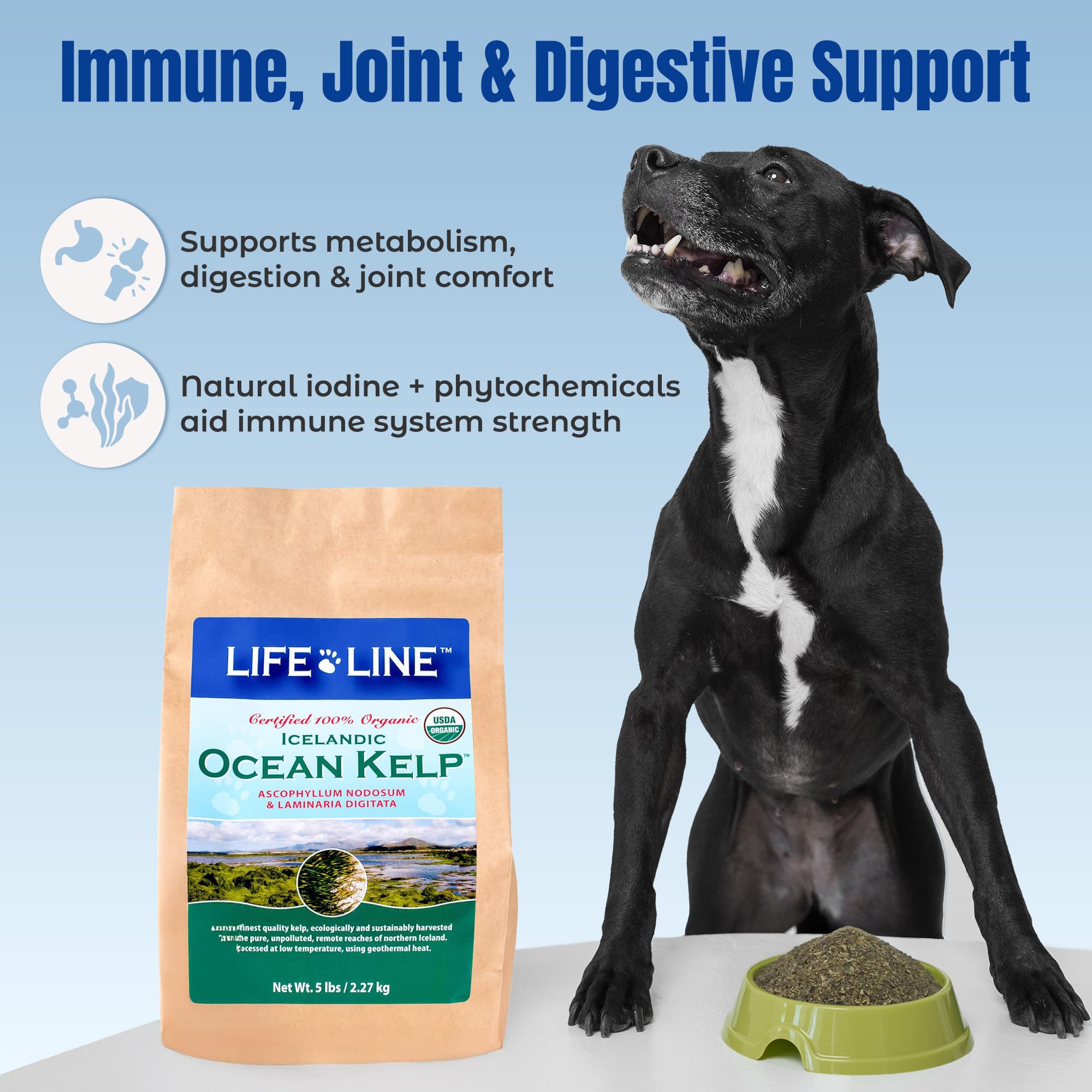 Life Line Pet Nutrition: Life Line Organic Ocean Kelp para digestión y bienestar general.