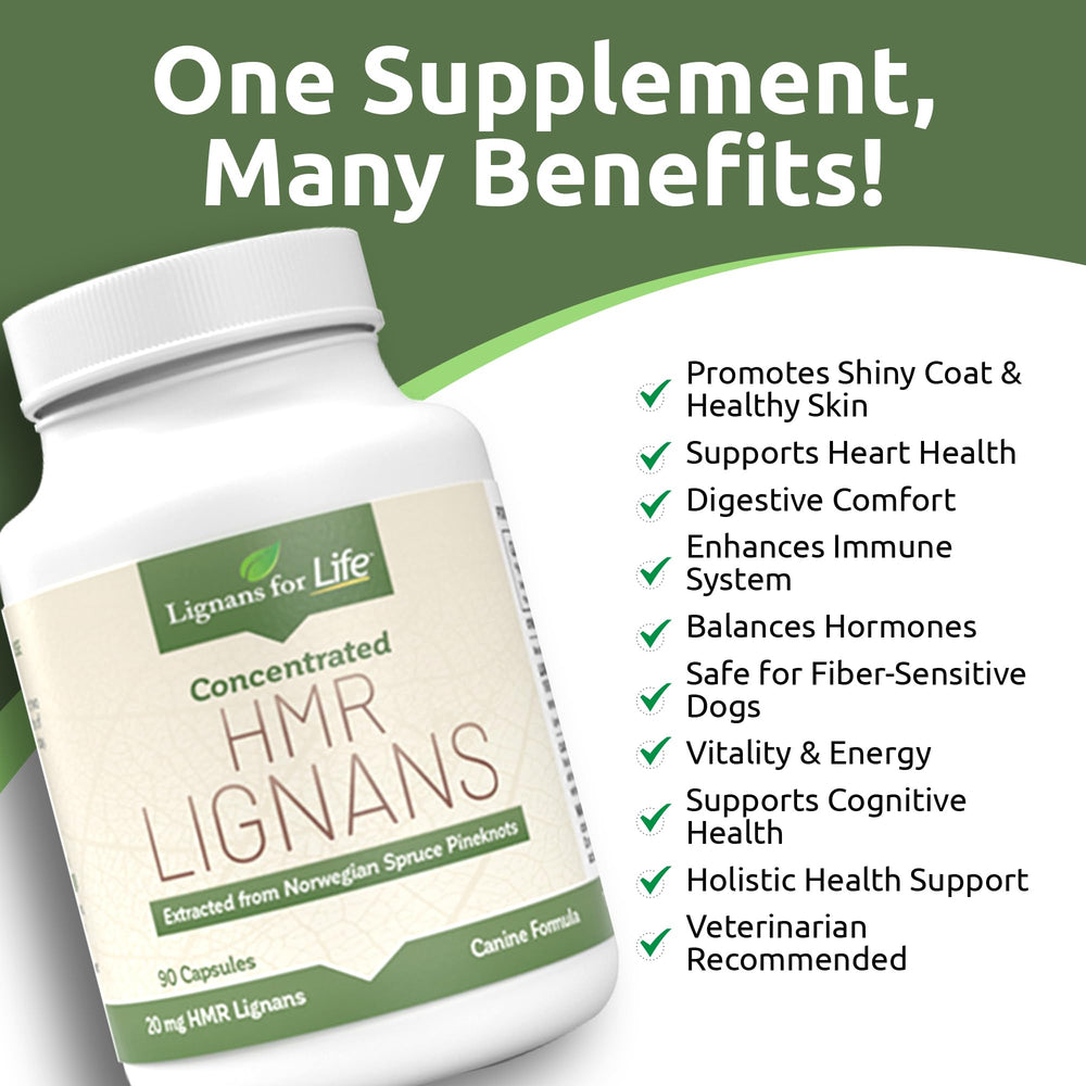 Lignans For Life HMR Lignans 20mg, ayuda digestiva suave para perros