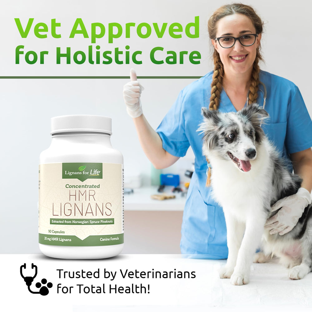 Lignans For Life HMR Lignans 20mg, opción suave para perros sensibles a la fibra