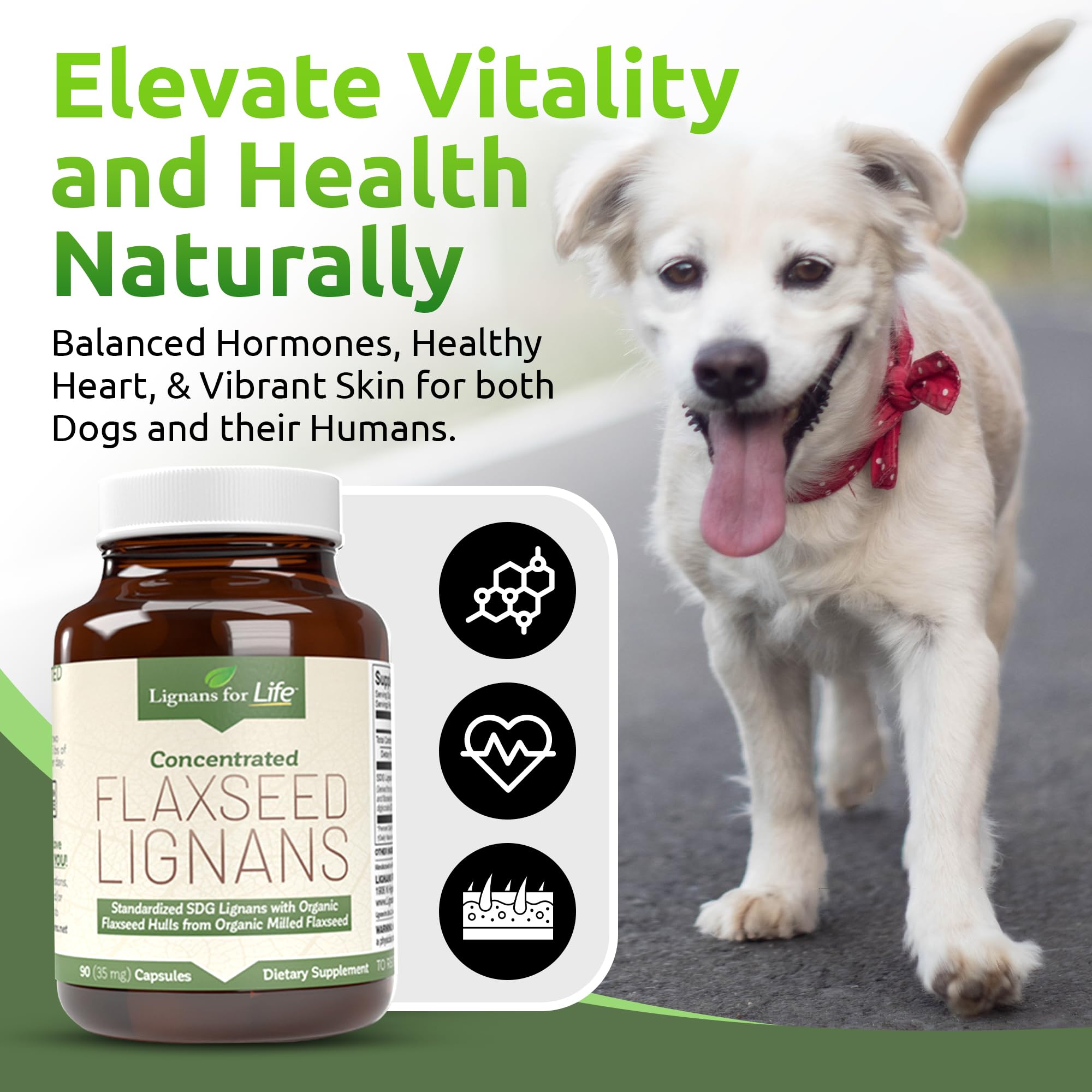 Lignans For Life antioxidantes de lignanos SDG para refuerzo del sistema inmune.