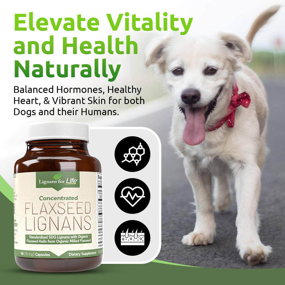 Lignans For Life antioxidantes de lignanos SDG para refuerzo del sistema inmune.