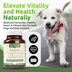 Lignans For Life antioxidantes de lignanos SDG para refuerzo del sistema inmune.