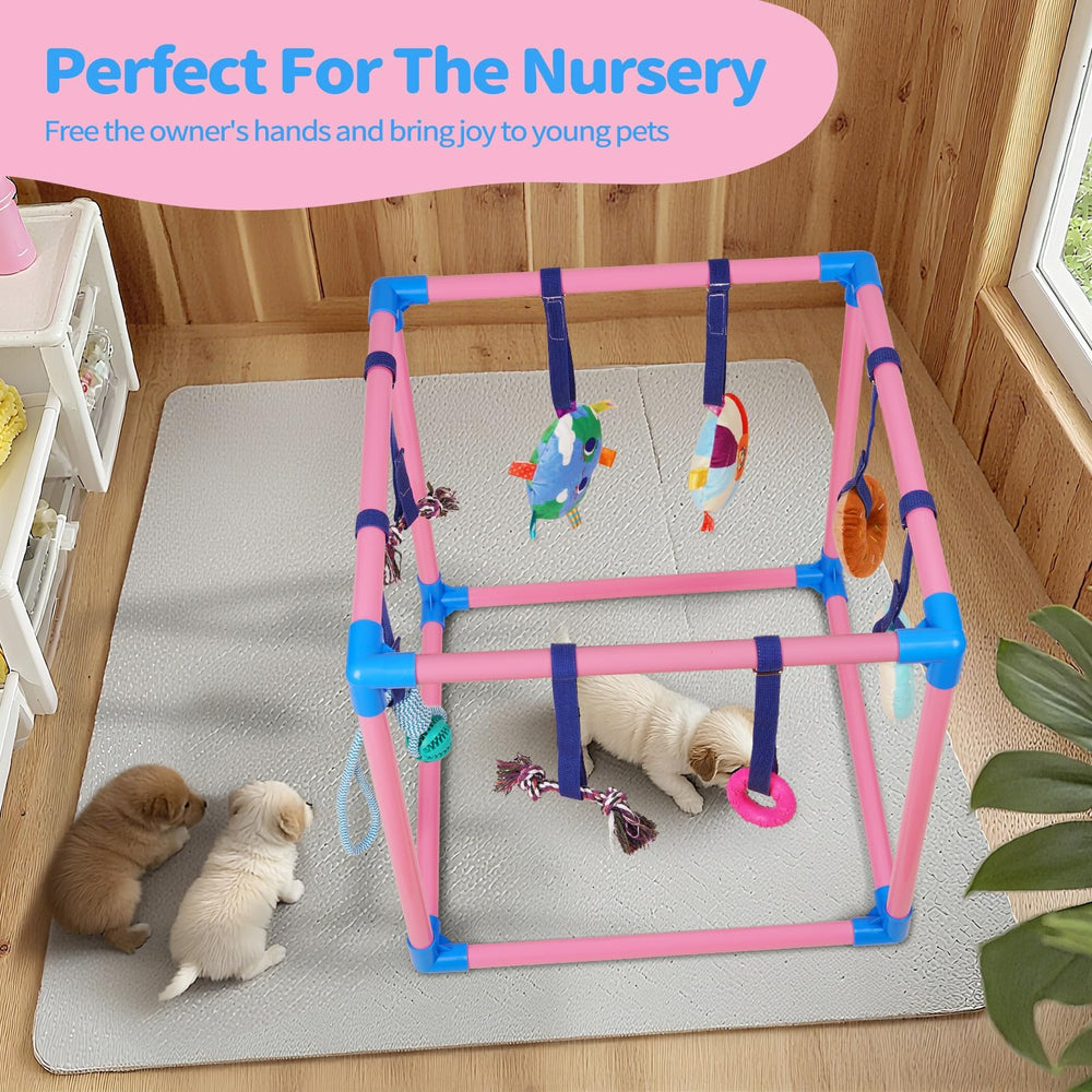 Liitrton juguetes educativos para cachorros, estimulan habilidades motoras y curiosidad.