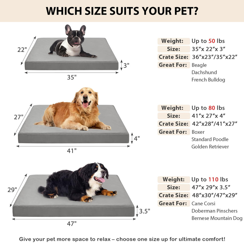 Dimensiones grandes de LILNAP 35x22x3 pulgadas para perros grandes