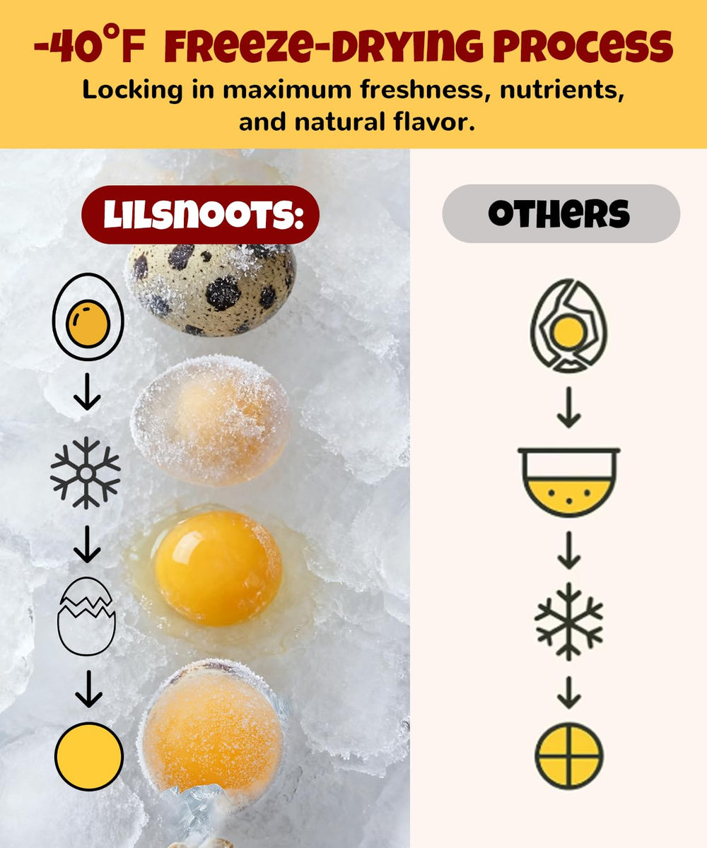 LILSNOOTS frasco hermético, mantiene frescura y nutrientes de la yema de codorniz.