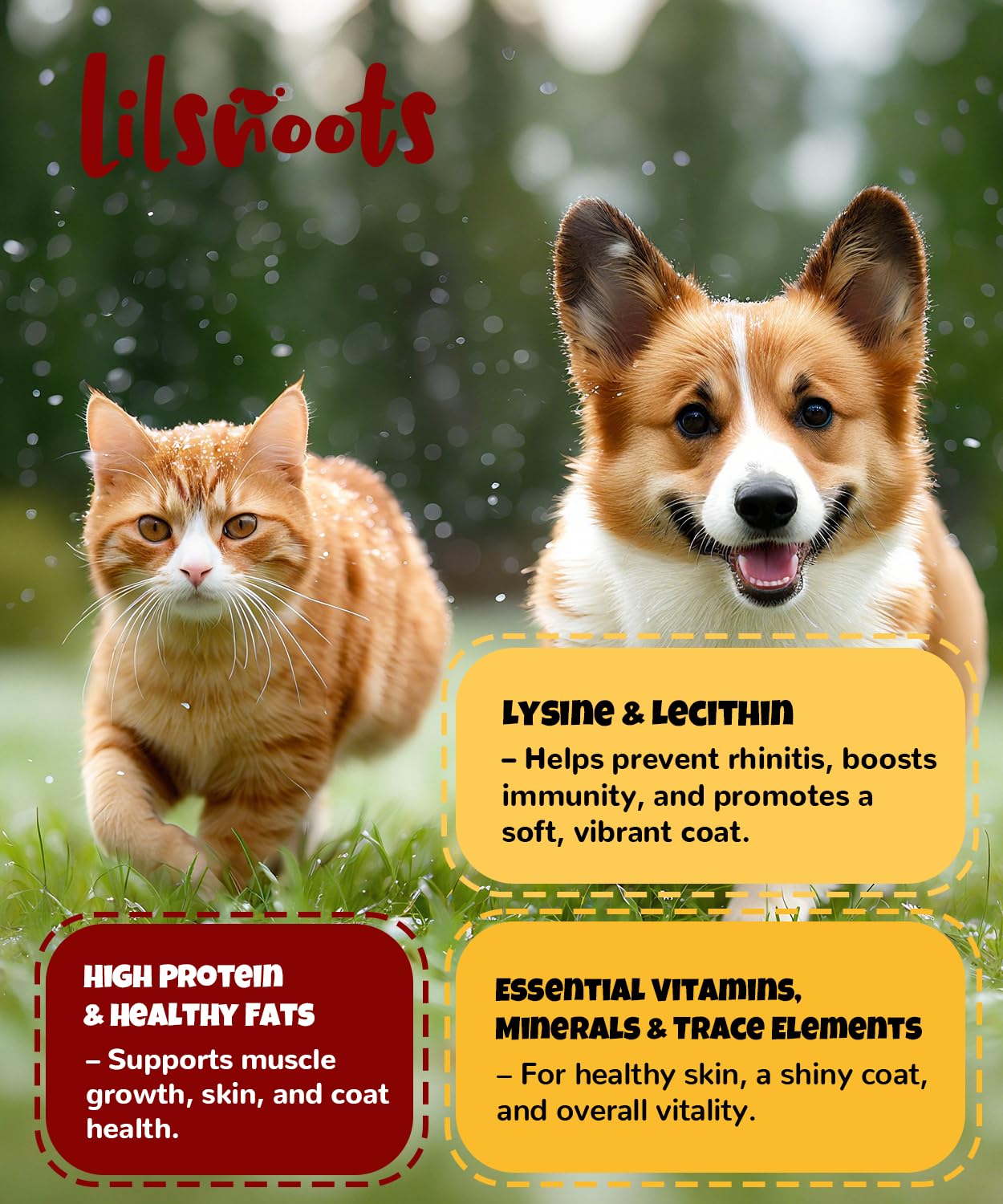 LILSNOOTS snack perros y gatos, consumo diario sin aditivos.