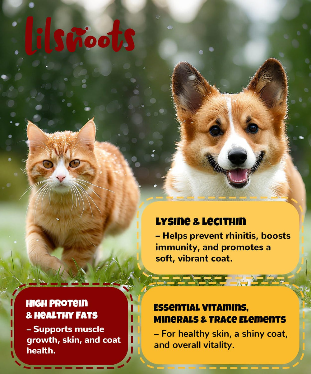 LILSNOOTS snack perros y gatos, consumo diario sin aditivos.