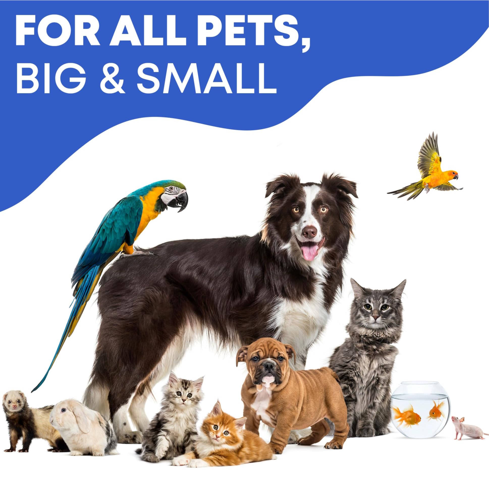 Limpiador de orejas para gatos y perros, envase compacto para almacenamiento.