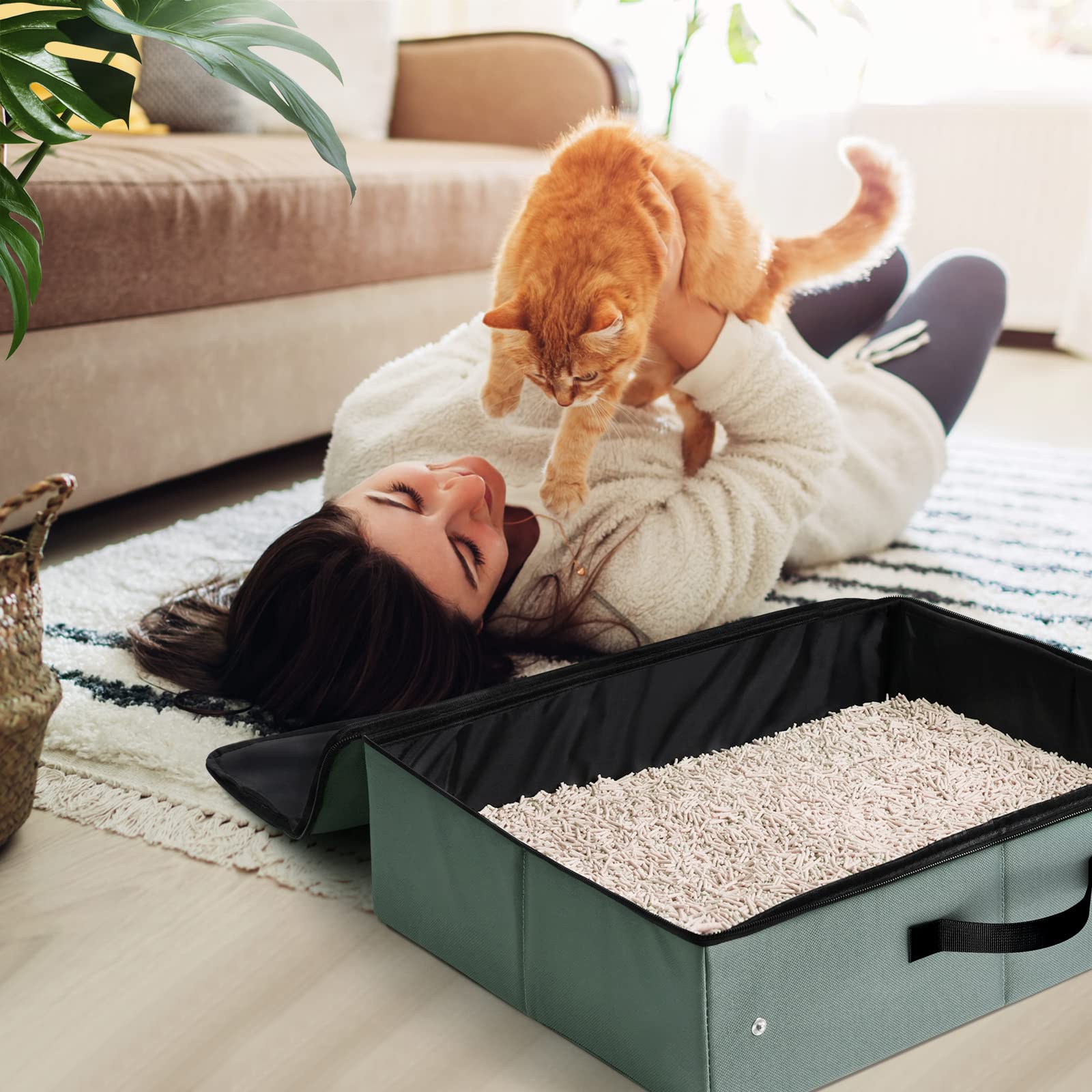 LIOOPET diseño duradero ideal para viajes, hoteles y carretera.
