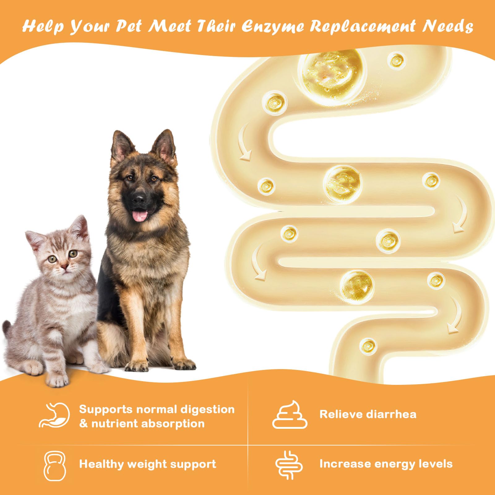 Liovsiso combinación amilasa-proteasa-lipasa para perros, polvo para una digestión más eficiente.
